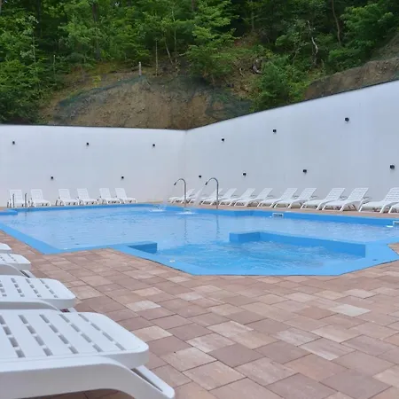 Pollock Hotel, Hotel Ribarska Banja