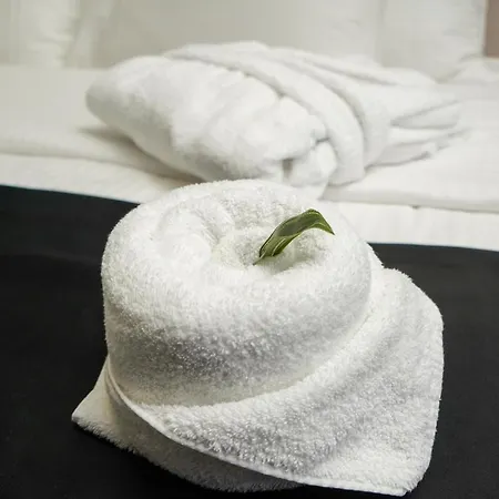 Pollock Hotel, Ribarska Banja