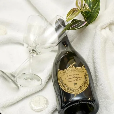 Pollock Hotel, Hotel Ribarska Banja